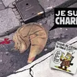 photo diaporama sorties soutien à charlie hebdo : vos photos 255755