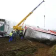 photo diaporama sorties fatines. retour en images sur l'accident, sur l'a 11, d'un camion transportant des bovins  280851