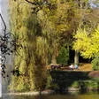 photo diaporama sorties le mans. le jardin des plantes prend ses couleurs d’automne  296182