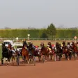 photo diaporama sorties clap de fin pour la saison 2015 de l’hippodrome du pays d'argentan 297654