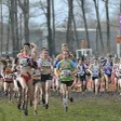 photo diaporama sorties le mans. le championnat de france cross-country en images 299782