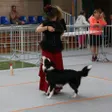 photo diaporama sorties en images: maîtres et chiens au concours de dog dance d'argentan 306248