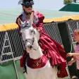 photo diaporama sorties les amazones ont fait le show au haras du pin 311412