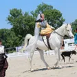 photo diaporama sorties les amazones ont fait le show au haras du pin 311423