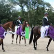 photo diaporama sorties haras du pin. les français, héros du grand complet 312289