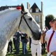 photo diaporama sorties percherons et shetlands se croisent au haras du pin 312918