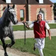 photo diaporama sorties percherons et shetlands se croisent au haras du pin 312919