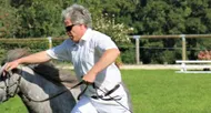 photo diaporama info percherons et shetlands se croisent au haras du pin