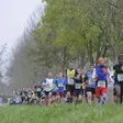 photo diaporama sorties 10 km « le maine libre ». la course en images [photos - vidéo] 313758