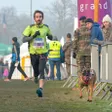 photo diaporama sorties cross ouest-france. le cani-cross ouvre la journée sous le soleil 314448