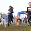 photo diaporama sorties cross ouest-france. le cani-cross ouvre la journée sous le soleil 314464