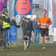 photo diaporama sorties cross ouest-france. le cani-cross ouvre la journée sous le soleil 314470