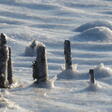 photo diaporama sorties vos plus belles photos du grand ouest sous la neige ! 315253