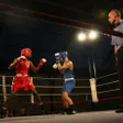photo diaporama sorties en images. À argentan, une fête réussie pour le gala de boxe 316406