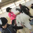 photo diaporama sorties en images. un stage pour s’essayer à l’art du cirque à dos de poney 316418
