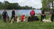 photo diaporama info feneu. un championnat de france de sauvetage à l’eau avec des chiens