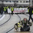 photo diaporama sorties le mans. gilets jaunes : retour en images sur la manifestation de samedi 319943