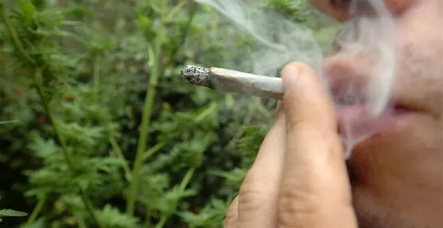 photo près de deux ados sur cinq âgés de 15 à 16 ans déclaraient en 2011 avoir déjà fumé du cannabis. &copy; photo archives co - laurent combet