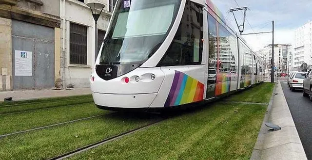 photo 90 € pour stationnement gênant sur la voie de tramway, 135 € pour circulation sur celle-ci, c’est ce que risquent les conducteurs à angers. sans compter d’éventuelles dégradations des pelouses du tram &copy; ouest-france