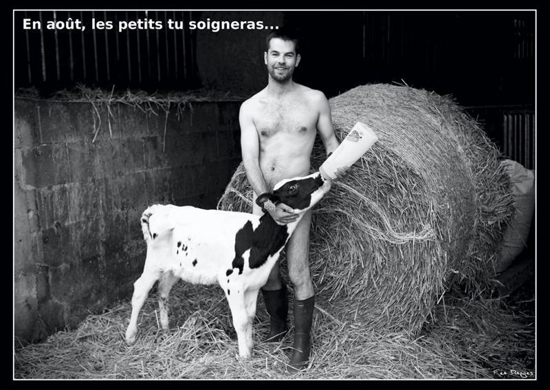 Succès du calendrier des Jeunes agriculteurs de la Manche dénudés