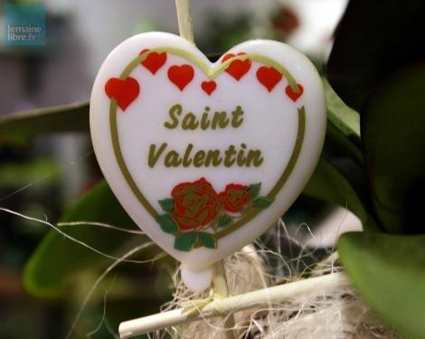 Vos plus belles déclarations d'amour pour la Saint-Valentin - Nevers (58000)
