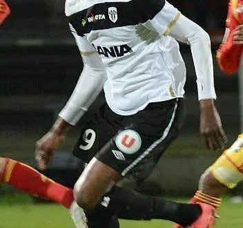 photo doré est plus que jamais sur le départ. &copy; george mesnager