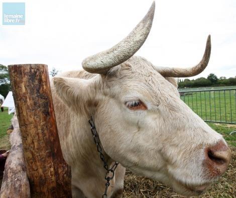 Le Mans. On f te la Ferme en folie l Arche de la nature Le