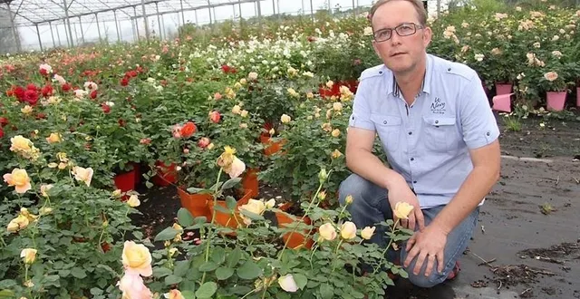 photo jean-michel georges, responsable, avec patrick ferrut, de la pépinière des roseraies d’anjou. &copy; ouest-france