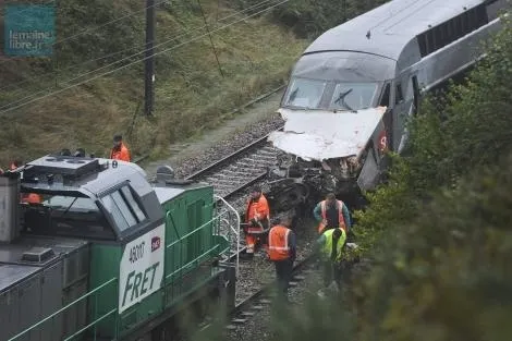photo le conducteur du tgv a eu les bons réflexes. &copy; photo 