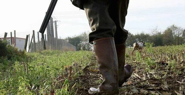 photo l'accident s'est produit au cours d'une chasse à la bécasse; &copy; ouest-france