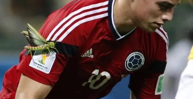 photo james rodriguez a une nouvelle fan. &copy; epa/maxppp