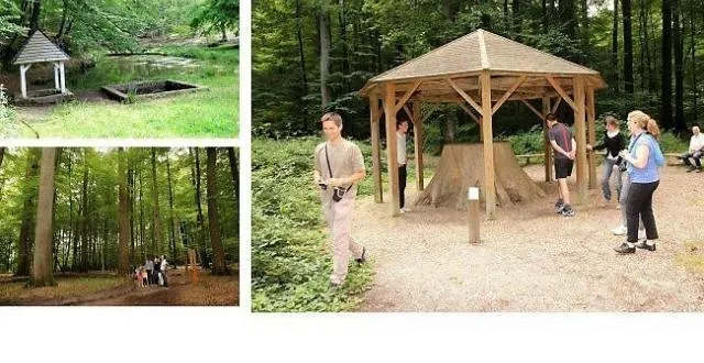 photo en haut à gauche : la fontaine de la coudre s'offre aux visiteurs avec ses nombreuses tables de pique-nique. la futaie des clos et le chêne boppe sont incontournables en forêt de bercé (à droite et en bas à gauche).