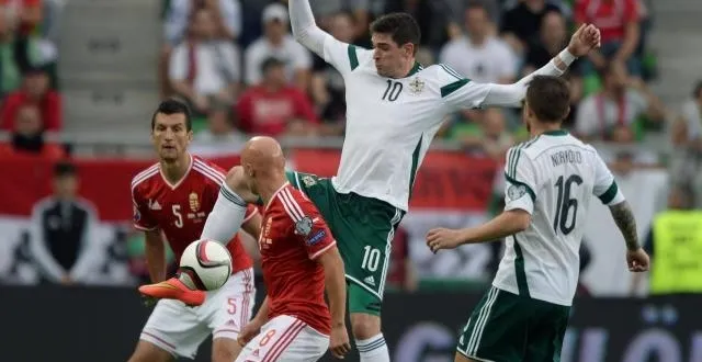 photo défaits par l'irlande du nord à domicile (1-2), les hongrois ont trouvé un moyen atypique pour tenter de s'excuser. &copy; photo afp.