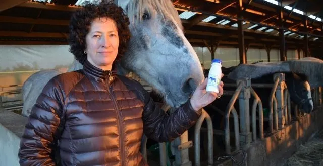 photo julie decayeux et son mari etienne élèvent 200 chevaux de trait à neuville-près-sées. &copy; ouest-france.