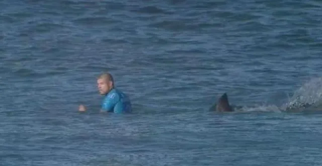 photo le surfeur mick fanning, attaqué par un requin, s'en sort indemne. &copy; photo : capture d'écran