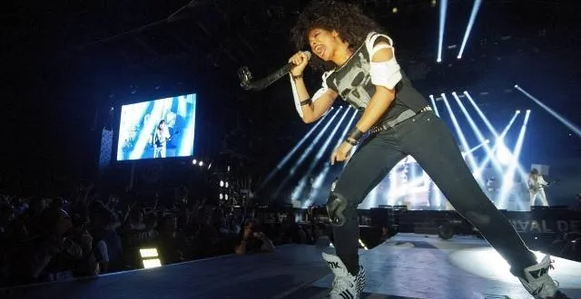 photo shaka ponk en concert à art sonic, ce samedi soir à 23 h 10. &copy; jérôme fouquet