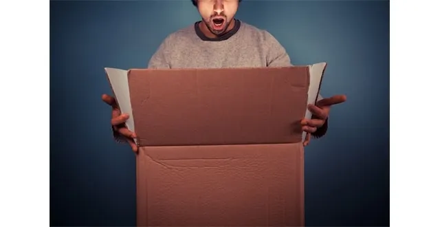 photo journée internationale du chat : le lot du concours enfin dévoilé !