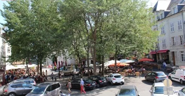 photo saumur. les grands arbres et les voitures vont disparaître de la place saint-pierre. &copy; photo le courrier de l'ouest