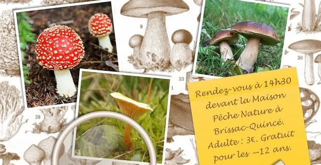 photo sortie 10/10/15