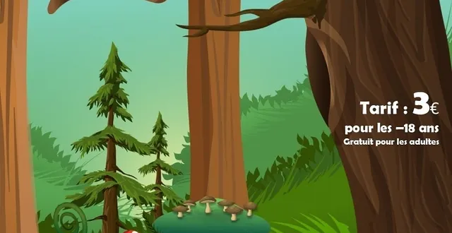 photo champignon 21 octobre