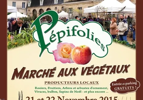 photo marché aux végétaux