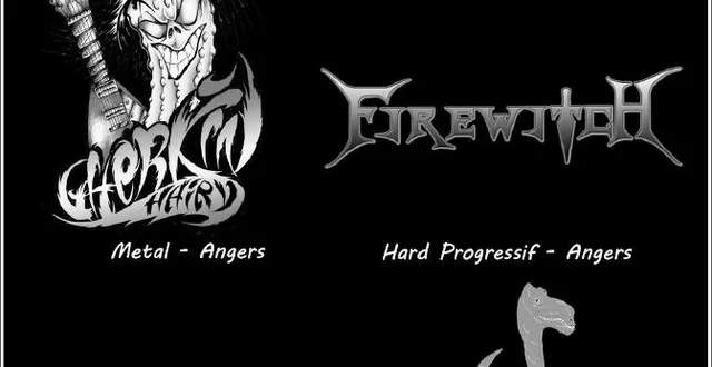 photo concert 4 groupes hard rock/métal