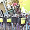photo faire du vélo à angers : vous n’hésiterez plus à vous y mettre !