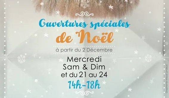 photo noël à la galerie confluence