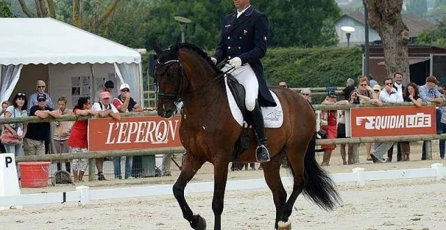 photo arnaud serre, ici sur robinson de lafont, fait partie des 7 cavaliers membres du groupe france, qui pourra être sélectionné pour les jeux olympiques de rio. &copy; photo : gérard piwtorak / ouest-france