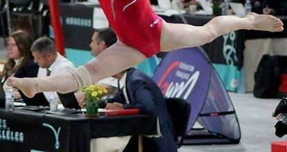 Angers Gymnastique – Gymnastique Artistique Féminine & Masculine