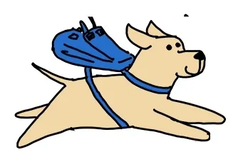 photo un blog bd sur un chien de l'école des chiens-guides d'angers