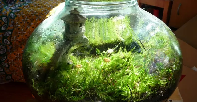 photo un jeune entrepreneur angevin encapsule la vie