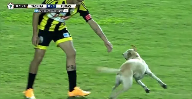 photo séquence insolite... &copy; (capture d'écran)