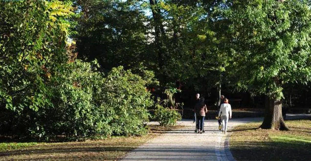 photo le mans. météo : parcs et jardins fermés ce dimanche &copy; parcs et jardins, ici le jardin des plantes, sont fermés pour des questions de sécurité. photo archives « le maine libre », hervé petitbon